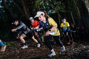 BIB: 
                            <button type="button" onclick="openModal(19041346)" class="btn btn-primary btn-sm float-right btn-popup" data-toggle="modal" data-target=".modal-high-quality">
                        <i class="fas fa-shopping-cart"></i> Add to Cart
                    </button>
                                            <button type="button" onclick="isThisMe(19041346, true)" class="btn btn-success btn-sm float-right btn-popup btn-isme hidden" data-toggle="tooltip" data-placement="bottom" title="นี่คือรูปของคุณใช่ไหม คลิกที่นี่เพื่อเอาเข้าอัลบั้ม">
                        <i class="fas fa-plus"></i> Add to album
                    </button>
                    <button type="button" onclick="isThisMe(19041346, false)" class="btn btn-warning btn-sm float-right btn-popup btn-isnotme hidden">
                        <i class="fas fa-ban"></i> Remove from album
                    </button>